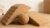 2-in-1 Cork Yoga Blocks, 2 Pack Natural Cork Blocks – Dual-Use Squat Wedge & Yoga Block with Massage Ball