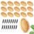 32 Pcs Bamboo Hair Brushes Bulk with 16 Rat Tail Comb Wooden Scalp Hairbrush Massager Anti Static Bamboo Bristles for Women and Men All Hair Types