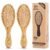 Pack of 2 Hair Brush with Bristles, Massages Scalp Anti-Static Hair Detangle for All Types, Lightweigh (Oval)
